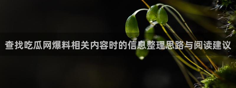 网络吃瓜热点