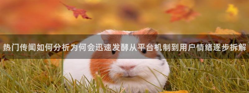 吃瓜最新入口