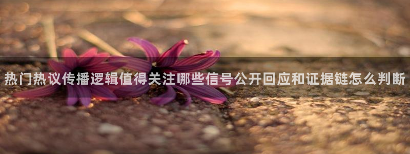吃瓜网络热点
