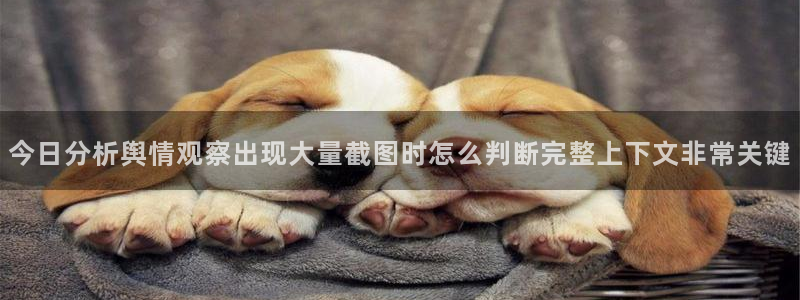 网络热门事件