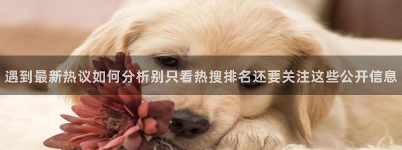 51吃瓜热点入口